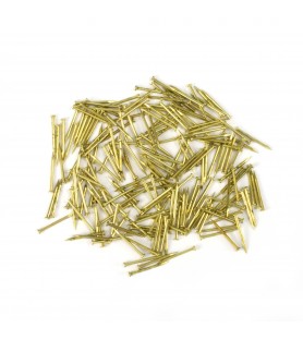 Brass Iron Nails 10 mm (200 Units)