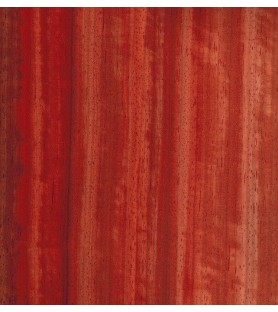 Coral (Padauk) Strips Pack 2 x 7 x 1000 mm (20 Pcs.)