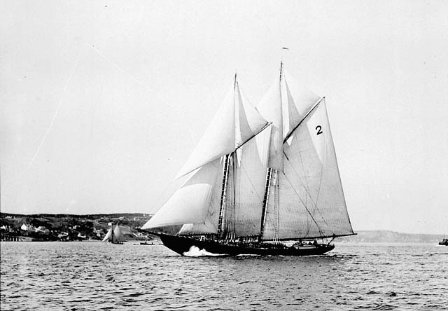 Bluenose Sailing in 1921 (Source: Wikipedia).