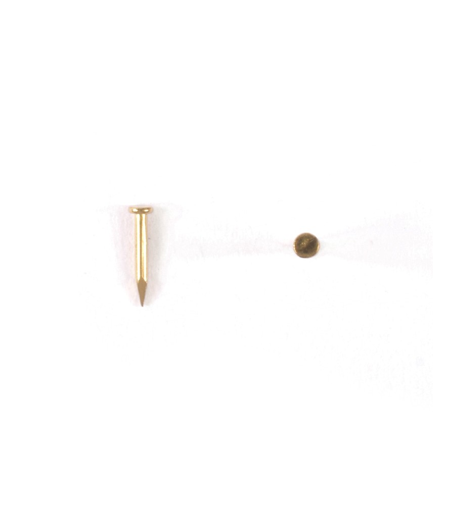 Brass Iron Nails 5 mm (300 Units)