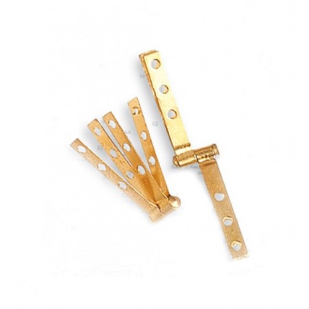 Charnière pour Gouvernail en Laiton 3x20 mm (2 Unités)