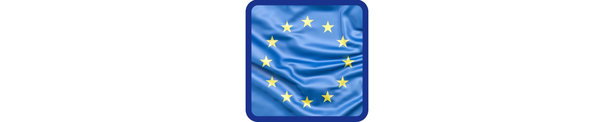 Europæiske træskibsmodeller: oplev den europæiske flådemodellering