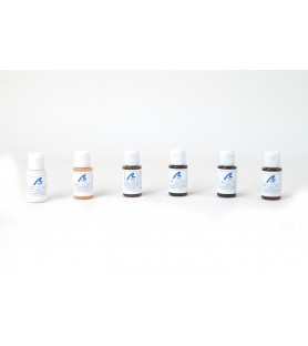 Mini Ensemble de Colorants et Vernis pour Bois 2