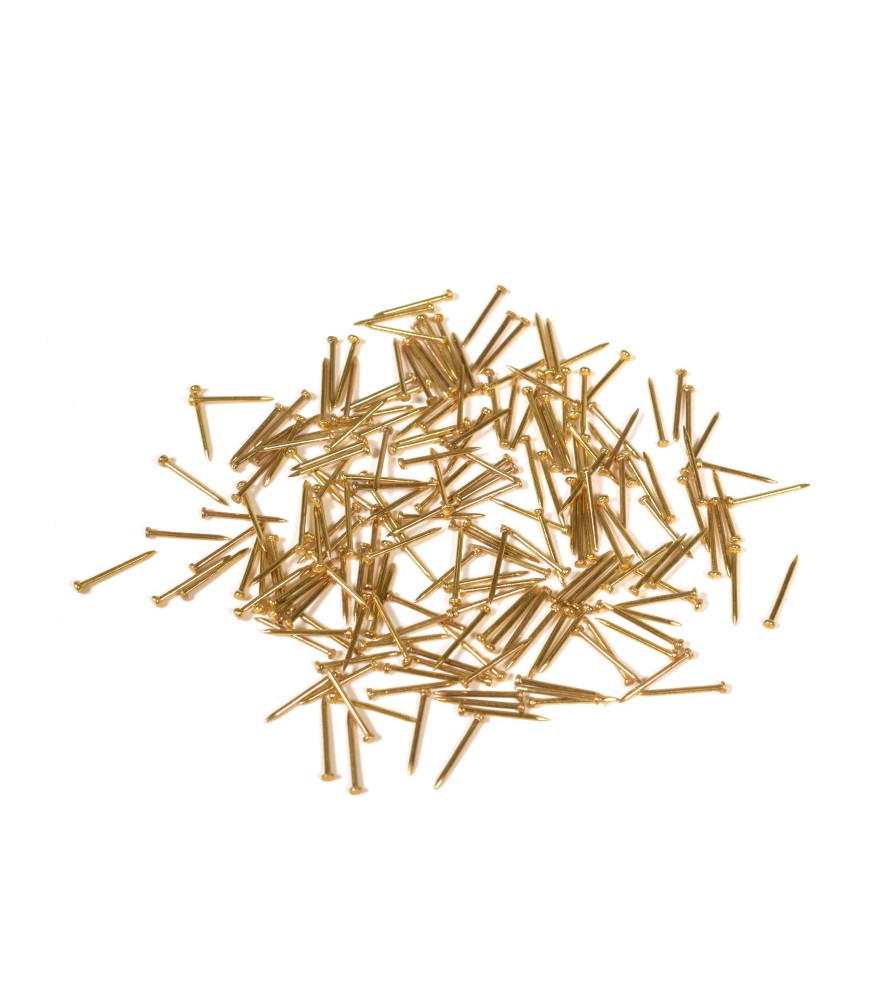 Brass Iron Nails 10 mm (200 Units)