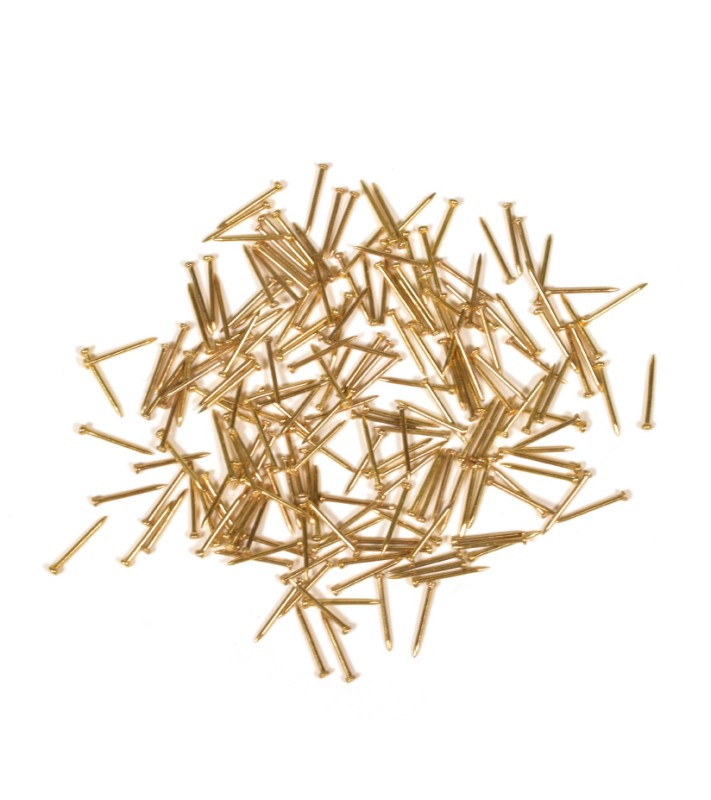 Brass Iron Nails 10 mm (200 Units) 2